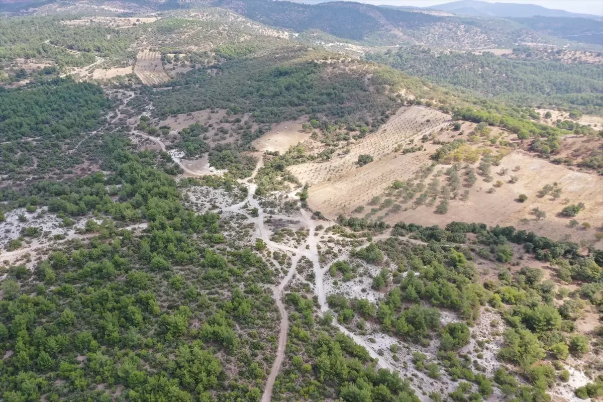 Osmancalı Fosil Ormanı Tabiat Anıtı Oldu