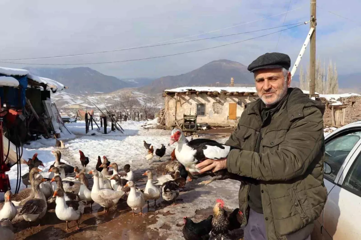 Oltu’da Yaban Sibirya Kazı Misafir Oldu